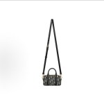 DIOR迪奥 Groove 16 nano 单肩斜挎⼿提包 迷你 ⼥款 蓝⿊⾊